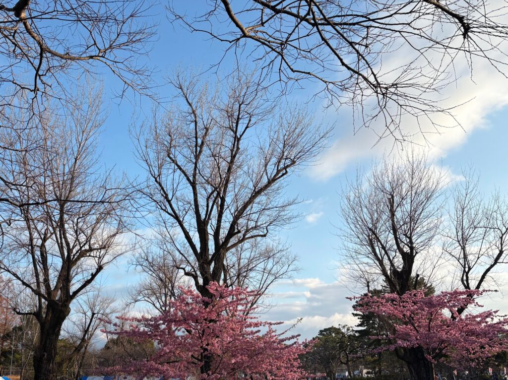 〜 コミュニケーション力 〜
先日、久しぶりに現役の大学生とお話する機会がありました。
年上の人との会話の中でも、変に萎縮することなく自分の考えを伝え、しかもとても丁寧な接し方で、楽しく有意義な時間を過ごすことができました。
学生時代、年上の方から聞かれたことに「はい」か「いいえ」程度しか話せなかった自分。世代の違いを感じてしまいましたが、学校に限らず、職場でのOJTを含め「教える側」と「教わる側」との関係の変化も大きな要因と感じます。
「教える側」は、「黙って従え」ではなく、対話を通じて「教わる側」の強み・弱み・悩みを把握し、根拠を示してアドバイスする。「教わる側」は、アドバイスをふまえ「自ら考える」ことでスキルアップにつなげる。そんな意識がお互いの根底にある気がします。
鍵となるのはコミュニケーション力。対話を通じて相手のニーズを把握し、マッチした提言・提案をしていくことは、「教える」「教わる」の関係に限らず、様々な場面で大切であると、改めて実感しました。
的確なサポートにつながるコミュニケーション力、これからも磨き続けていきます。