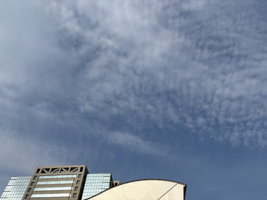 〜 開花 〜

3月24日、東京では桜が開花しました。
先週は、水曜日に季節外れの雪が降るほどぐっと気温が下がったものの、週末一気に気温が上昇し、昨日の日曜日は季節先取りの夏日に。平年とは異なる想定外の天候を繰り返しながらも、時は着実に進んでいると実感しました。

仕事や生活においても、想定外の事象や予期せぬトラブルは起こりがち。だからこそ、前にある目的をしっかりと見据えて行動していくことが大切。気候の変遷から、改めてそう感じました。

桜の開花の知らせを聞くだけで、何だか晴れやかな気分になりました。