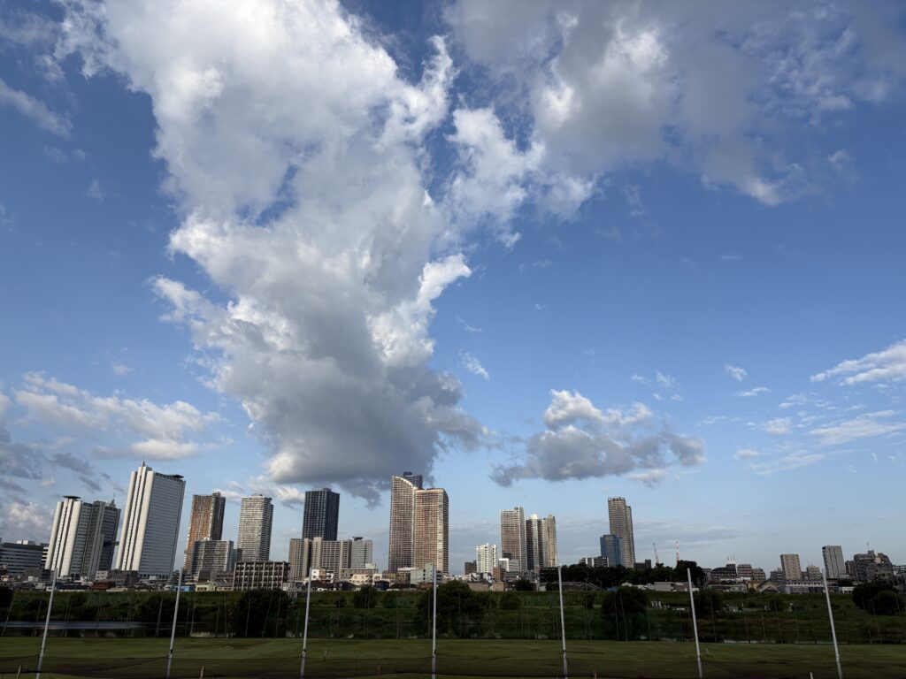 〜 地域・社会の課題解決サポートと行政書士 〜 行政書士が行うNPO法人の設立や補助金の申請に係るサポートは、環境保全、地域活性化、スポーツ振興など、地域や社会の課題に対して公益的な活動を行っている方にお役に立てるサポートです。 行政書士は、活動の立ち上げや運営に関してご提供できるサービスを通じて、課題解決に向けた取り組みを支援いたします。 公益的な活動に取り組んでいる方、これから取り組もうとしている方も、お気軽にご相談ください。