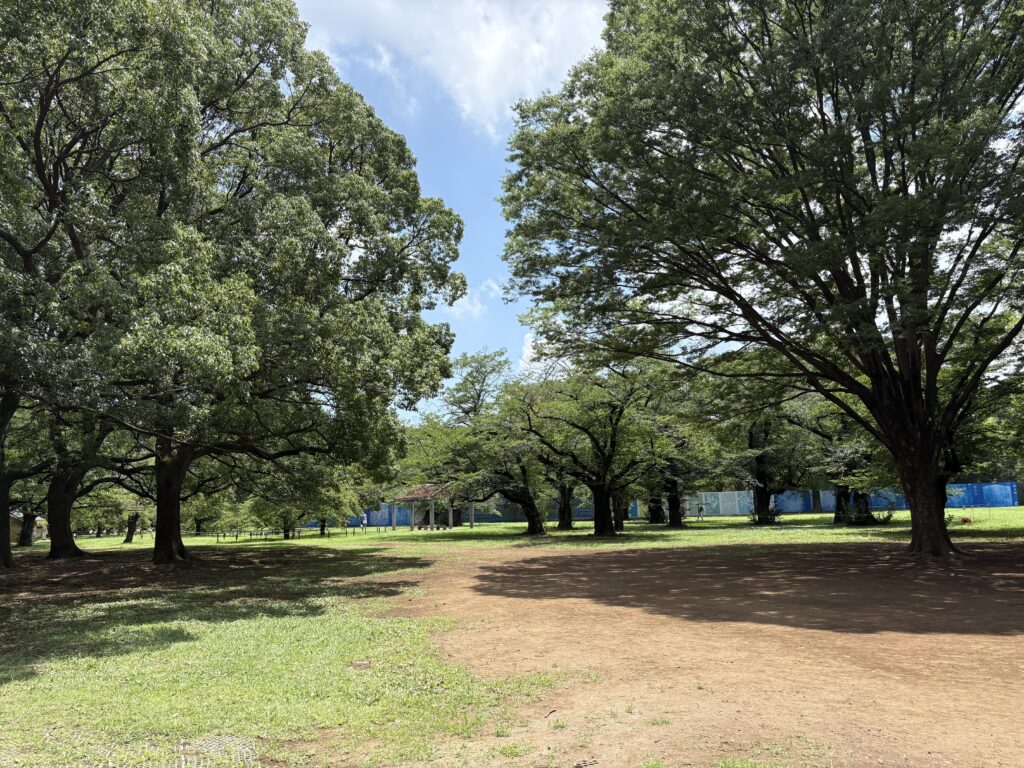 〜 蝉の鳴く声 〜 7月13日の日曜日、代々木公園をランニングしていたときのこと。今年はじめて蝉の鳴く声を耳にしました。 まだ少し遠慮がちで、「蝉時雨」とまではいきませんでしたが、季節の変遷を感じました。 蝉は、何年間も土の中で幼虫として過ごすにもかかわらず、成虫として活動できる期間はとても短く、儚さを感じます。 でも、見方を変えると、短い時間を精一杯充実して過ごすために、地道な基礎訓練を続けていたのかもしれません。 活躍するスポーツ選手も、その活躍の裏側には、地道な基礎練習の積み重ねと、基本を徹底する意識があると感じます。 仕事をしていく上で、事実関係や根拠資料、最新情報のリサーチといった「基礎」となる作業を地道に行うこと、ひとつひとつの作業を丁寧に「基本」を徹底することの重要さを、改めて強く意識しました。 既に先月から猛暑が続いているので、「ようやく」という感じもしますが、一斉に鳴く「蝉時雨」が待ち遠しくなりました。 <代々木公園>