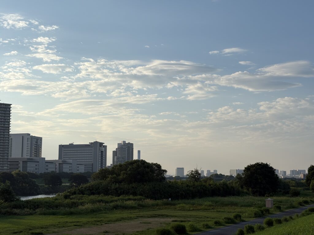 〜 桃の食べ頃から 〜 桃をいただいたので、ここ3日ほど、朝食時に1つずつ食べました。 2つはちょうど食べ頃でしたが、1つだけ少し食べ頃より早かったと感じました。 インターネットで調べてみると、触ったときに少し柔らかさを感じる頃が、桃の食べ頃のようです。 特に調べることもなく、皮を剥くとき「少し硬いかな」と感じつつ、そのまま食べてしまった私。事前に食べ頃の状態を調べていたら、もっとおいしく食べられたかなと、ちょっとだけ後悔しました。 事前に必要な情報をリサーチしたうえで、ベストなタイミングに合わせる。 ちょっと大袈裟かもしれませんが、「桃を食べる」という動作から、「ビジネスの基本」を再認識できた気がします。 基本を大切に、丁寧なサービスを提供してまいります。 <多摩川>