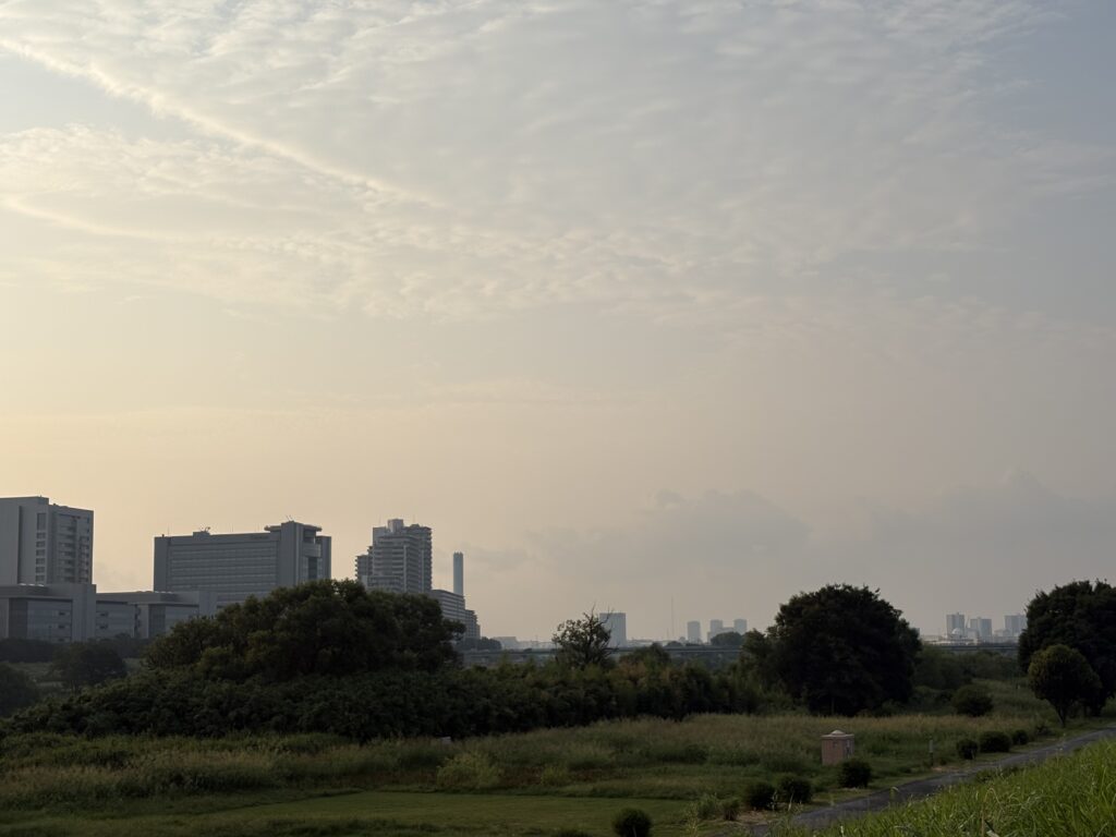〜 ルーツ 〜
1931年（昭和6年）8月25日、羽田空港が開港。
私の事務所がある蒲田は、羽田空港の玄関口として、日々発展し続けている街です。
キャリーケースを持って行き来する方を、毎日たくさん見かけます。
今日はそのルーツともいえる開港の日。開港の当日も、今日と同じように暑い日だったのかなと、とても身近に感じます。
今ある事象のルーツを理解することは、課題の解決策や今後の発展に向けての取り組みを考える上で、基本となる大切なこと。そこに重要なヒントがあると思います。
お客様のお悩みや困りごとのルーツや根拠を正しく理解した上で、最適なサービス・サポートを提供してまいります。
どうぞお気軽にご相談ください。
＜多摩川＞
