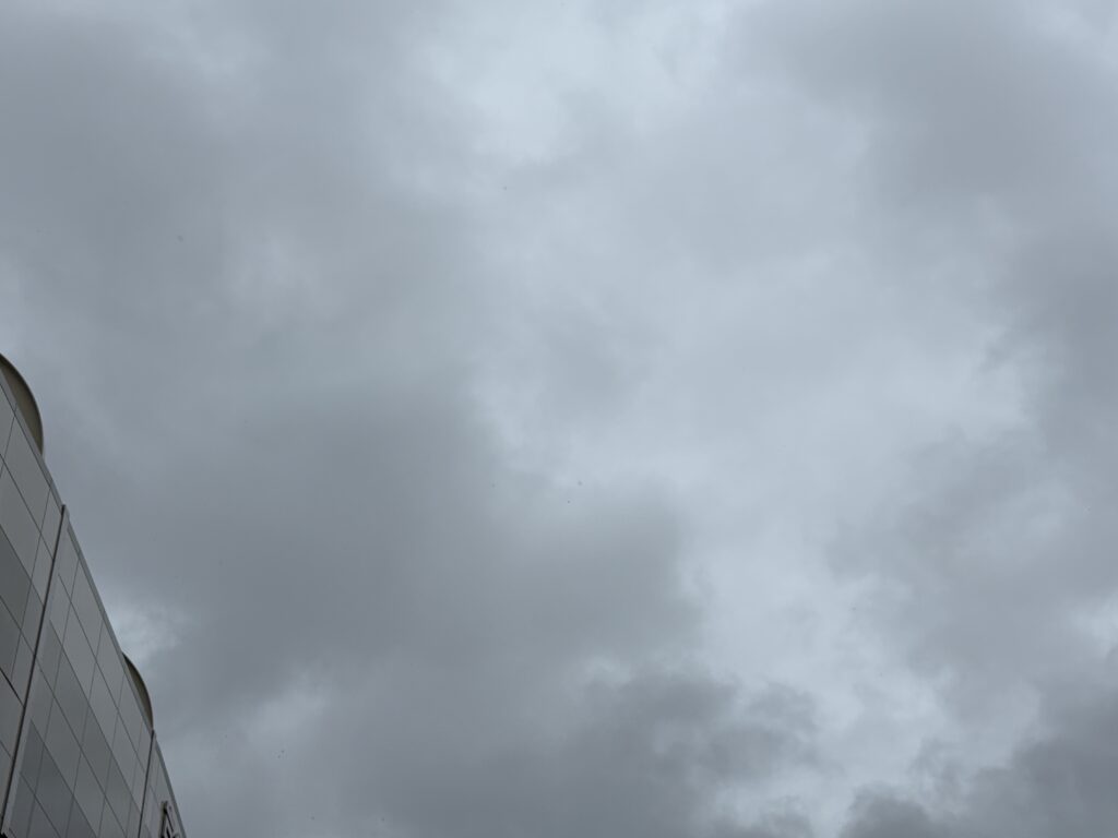 〜 台風と、気づき 〜
台風15号の影響で、東京でも朝から荒れ模様。
天気予報を見ると、台風はまだ関東地方から少し離れた場所に。今回は、台風の中心より東側の地域で大雨の警戒が必要とのことでした。
常に最新の情報をチェックすること。
根拠のない安易な自己判断は絶対にしないこと。
今朝、2つの大切さを強く感じました。
「最新」かつ「信頼できる」情報を収集し、冷静に判断する。
改めて強く認識して、行政書士として質の高いサービスを提供してまいります。
<多摩川>