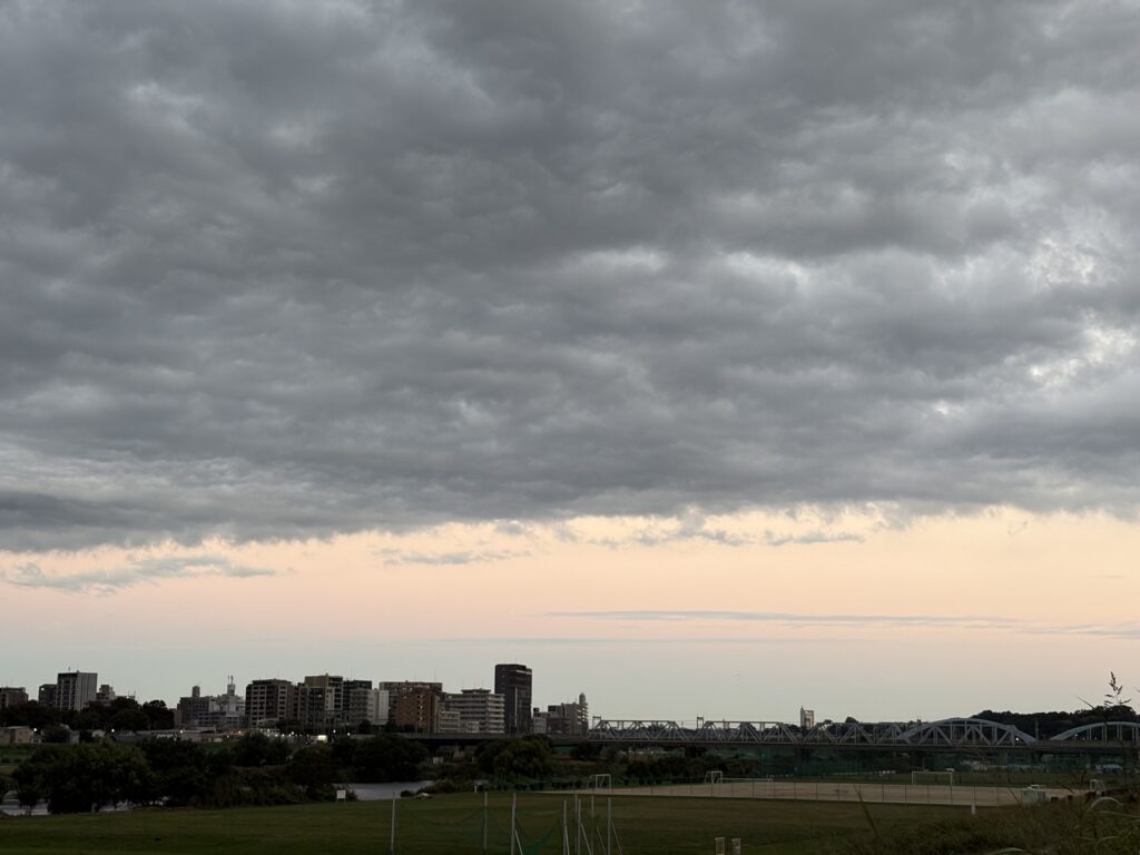〜 原則と、例外 〜 原則として一定の基準を示しつつ、一部例外を認めているルールや規則は、多く存在します。 原則のみ許容する硬直化したルールでは、運用面で支障が生じ、機能不全に陥ってしまうことも。 正当な理由がある場合や、一定の条件の範囲内である場合など、許容しても支障が生じないと判断できるときには、例外として許容し、運用していく。 例外として許容されるかどうかは、個別具体的な判断が必要になり、その判断には合理性が必要になる。 理にかなう=合理性。判断が必要とされる場面では鍵になると、改めて感じます。 相手に「そうだね、わかった」と納得してもらうときも、合理性が鍵となる場面です。 まずは事実関係をきちんと確認し、事実に基づき論理立てて説明し、判断の合理性を示す。そのうえで納得してもらう。 ビジネスの基本となることですが、改めて意識しなければと感じます。 基本を意識した丁寧な対応、心がけてまいります。 #行政書士 #大田区 #企業法務経験 #安心への伴走者 #課題解決サポート #契約書の作成チェック #行政への申請手続支援 #コラム #原則と例外