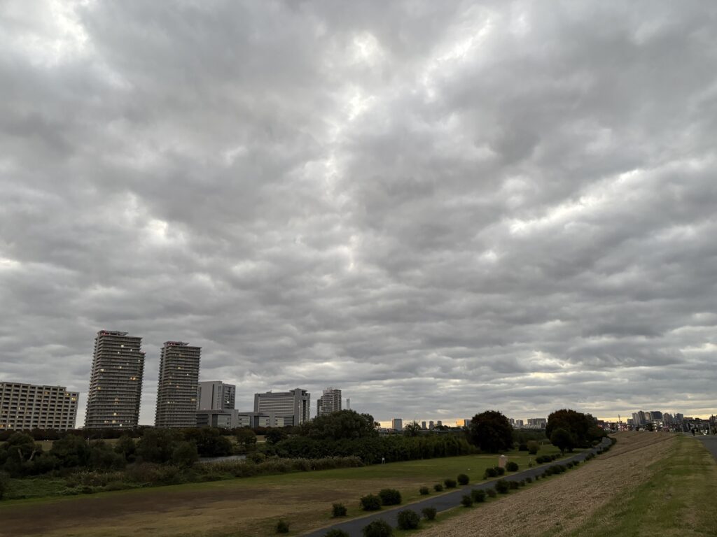 〜 突然の雨から 〜 昨日のお昼頃、私の事務所のあたりでは、突然、激しい雨が降りました。 ちょうどお昼休みで外に出ようとしたとき。折りたたみ傘を持っていたので、難を逃れることができました。 少し荷物は増えますが、気になるほどではないので、いつも折りたたみ傘をかばんに入れて持ち歩くようにしています。 いざというときの備え。日常の出来事から、その大切さを改めて感じました。 行政への申請手続の支援、契約書の作成・チェックなど、行政書士がご提供するサービスを活用することで、いざというときの備えにつながることも多いと思います。 仕事や暮らしの困りごと。どうぞお気軽に行政書士にご相談ください。 #行政書士 #大田区 #企業法務経験 #安心への伴走者 #課題解決サポート #契約書の作成チェック #行政への申請手続支援 #コラム #突然の雨から