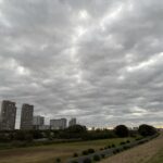 〜 突然の雨から 〜 昨日のお昼頃、私の事務所のあたりでは、突然、激しい雨が降りました。 ちょうどお昼休みで外に出ようとしたとき。折りたたみ傘を持っていたので、難を逃れることができました。 少し荷物は増えますが、気になるほどではないので、いつも折りたたみ傘をかばんに入れて持ち歩くようにしています。 いざというときの備え。日常の出来事から、その大切さを改めて感じました。 行政への申請手続の支援、契約書の作成・チェックなど、行政書士がご提供するサービスを活用することで、いざというときの備えにつながることも多いと思います。 仕事や暮らしの困りごと。どうぞお気軽に行政書士にご相談ください。 #行政書士 #大田区 #企業法務経験 #安心への伴走者 #課題解決サポート #契約書の作成チェック #行政への申請手続支援 #コラム #突然の雨から