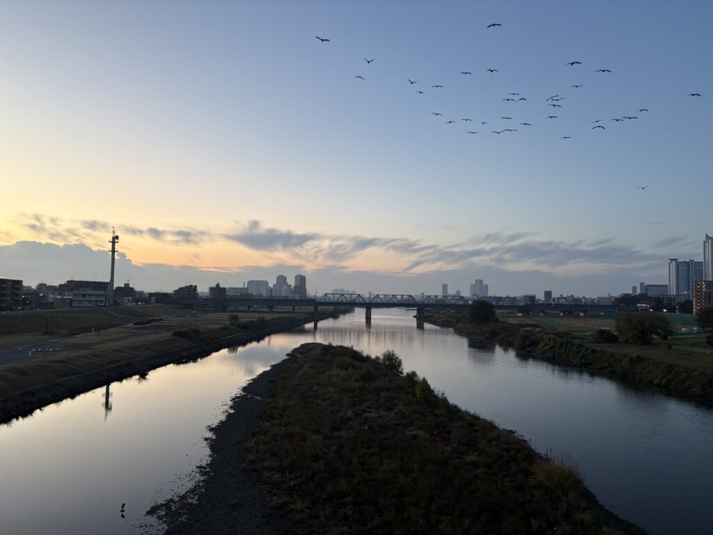 〜 暦の上では 〜 暦の上では〜。 こういう声を聞くと、「あれとこれ、そろそろ準備しないと」と思うようになります。 もうすぐ実際に訪れる季節を、お知らせしてくれるもの。 慌ただしい毎日を過ごしていると、目の前のことに手いっぱいで、準備しておくべきことをつい忘れてしまいがち。二十四節気に目を向けることで、はっと気づかせてくれると感じます。 準備しておくべきことに気づいたけれど、なかなか着手できないとき。行政への申請手続の支援、契約書の作成・チェックなど、行政書士がご提供するサービスが、お役に立てることもあると思います。 仕事や暮らしのお困りごと。どうぞお気軽にご相談ください。 #行政書士 #大田区 #企業法務経験 #安心への伴走者 #課題解決サポート #契約書の作成チェック #行政への申請手続支援 #コラム #暦の上では