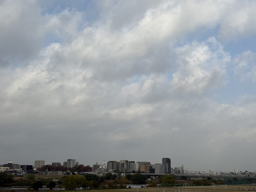 〜 優先順位 〜 ここ何年も見たり使ったりしたことはないものの、なんとなく愛着があり、捨てづらいもの。ただし、スペース上の制約で廃棄せざるを得ず、断腸の思いで実行。 書庫整理や押し入れの断捨離。何を残し、何を廃棄すべきか、いつも悩みます。 しかし、いざ実行してしまうと、不便を感じることはないことがほとんど。 優先順位。自分の中で納得する「理由付け」をしたうえで、あらかじめ決めておく。 特に不便を感じたり、後悔することにならない理由は、ここにあると感じます。 優先順位、理由付け、納得感。判断を要する場面で大切なこと。 いざというときに備え、自分なりに考えておく。 普段から習慣づけておくことが肝要だと、改めて思いました。 いざというときの備え。行政への申請手続、契約書の整備などが必要な場面では、行政書士がご提供するサービスがお役に立ちます。 仕事や暮らしのお困りごと。どうぞお気軽にご相談ください。 #行政書士 #大田区 #企業法務経験 #安心への伴走者 #課題解決サポート #契約書の作成チェック #行政への申請手続支援 #コラム #優先順位