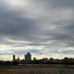 〜 区切り 〜 冬至。風が冷たく、寒い朝。 猛暑が長く続いたり、秋を感じる期間が短かったり、寒い日が続く中、急に季節外れの暖かい日が訪れたり。 最近、季節感も徐々に変わりつつありますが、今日は冬至らしさを感じる朝になりました。 暦の上では区切りとなる日。 今年もあとわずかとなりましたが、引き続きお役に立てるサービスを心がけてまいります。 #行政書士 #大田区 #企業法務経験 #安心への伴走者 #課題解決サポート #契約書の作成チェック #行政への申請手続支援 #コラム #区切り