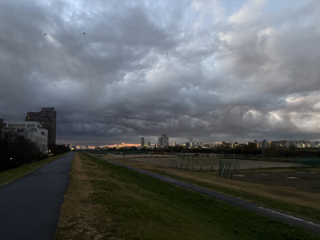 〜 納め 〜 大掃除、棚卸し、納会、年末のご挨拶。 見たり、聞いたり、行ったりすると、年の瀬を実感します。 1年の区切りとなる、納め。 1年を振り返り、問題や課題を抽出し、改善策を考えて、次につなげる。 おろそかにせず、考えてみることが大切だと感じます。 自分自身の1年の棚卸し。丁寧に自分と向き合い、サービスの改善に努めてまいります。 年末の大掃除や棚卸しで気づいた、仕事や暮らしの困りごとやお悩み。どうぞお気軽にご相談ください。 #行政書士 #大田区 #企業法務経験 #安心への伴走者 #課題解決サポート #契約書の作成チェック #行政への申請手続支援 #コラム #納め