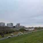 〜 力を抜く勇気 〜 今朝、ランニングをしていたときのこと。 走り始めから足が重く、ペースも自分の意図した通りには上がらず。 無理はせず、軽めのジョギングにしました。 コンディション。整えるために、何をすべきか。 負荷をかけることは必要ですが、かけすぎると怪我や体調を崩すことに。 自分自身と相談して、適度に力を抜くことも大切だと感じます。 集中と弛緩の両方を意識し、最適なサービスの提供を心がけてまいります。 #行政書士 #大田区 #企業法務経験 #安心への伴走者 #課題解決サポート #契約書の作成チェック #行政への申請手続支援 #コラム #力を抜く勇気