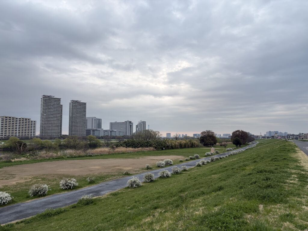 〜 うぐいす 〜 今朝、多摩川の土手をランニングしていると、うぐいすの鳴き声を耳にしました。 桜の咲き具合を気にしながら走っていたところ、不意に耳から春を感じました。 季節は視覚や味覚で感じるものと、自分の中でなんとなく決め付けていたような気がします。 音で季節を感じた瞬間から、頭を柔らかくすることの大切さを改めて感じました。 日に日に暖かくなってきましたが、年度末の慌ただしい時期。くれぐれもご自愛ください。 #行政書士 #大田区 #企業法務経験 #安心への伴走者 #課題解決サポート #契約書の作成チェック #行政への申請手続支援 #コラム #うぐいす