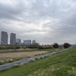 〜 うぐいす 〜 今朝、多摩川の土手をランニングしていると、うぐいすの鳴き声を耳にしました。 桜の咲き具合を気にしながら走っていたところ、不意に耳から春を感じました。 季節は視覚や味覚で感じるものと、自分の中でなんとなく決め付けていたような気がします。 音で季節を感じた瞬間から、頭を柔らかくすることの大切さを改めて感じました。 日に日に暖かくなってきましたが、年度末の慌ただしい時期。くれぐれもご自愛ください。 #行政書士 #大田区 #企業法務経験 #安心への伴走者 #課題解決サポート #契約書の作成チェック #行政への申請手続支援 #コラム #うぐいす