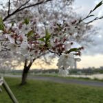 〜 30年 〜 1996年4月1日。社会人になりました。 新卒で入社した会社の入社式や歓迎会に参加し、バタバタとあっという間の1日だったことを思い出します。 あれから30年。当時の自分は、今の自分の姿を全く想像もしていませんでした。 過去に固執し過ぎず、未来を決めつけず、今をしっかりと生きる。 今日から新年度。最適解は何かを考え、地に足をつけて一歩ずつ前に進んでまいります。 暮らしや仕事の困りごと。どうぞお気軽にご相談ください。 #行政書士 #大田区 #企業法務経験 #安心への伴走者 #課題解決サポート #契約書の作成チェック #行政への申請手続支援 #コラム #30年