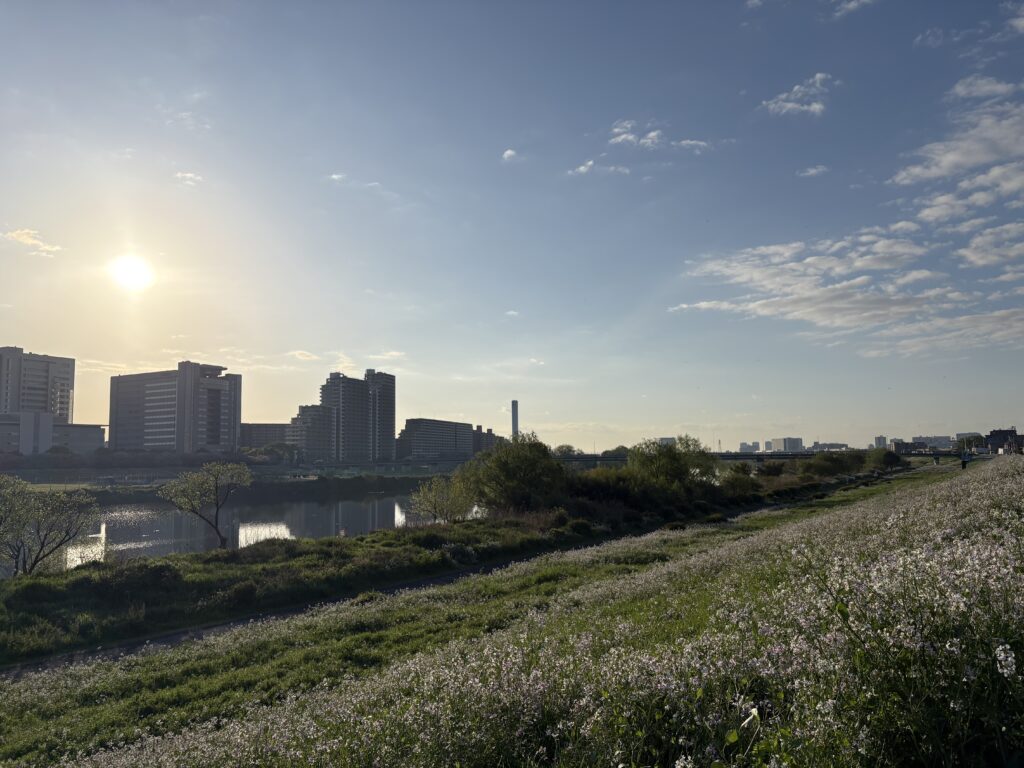 〜 思考の可動域 〜 関節の可動域。最近、年齢とともに狭くなってきたと実感します。 広げることを意識したストレッチをしないと、固くなってしまうもの。 怪我をしないためにも、続けることが大切。 可動域。意識しないと、広がらない。 関節に限らず、思考についても同様。 広げる意識を持たないと、つい近視眼的になりがち。 ちょっとした身体的な変化から、思考とのつながりを感じました。 思考の可動域。広げる意識を大切に、最適解を考えてまいります。 #行政書士 #大田区 #企業法務経験 #安心への伴走者 #課題解決サポート #契約書の作成チェック #行政への申請手続支援 #コラム #思考の可動域