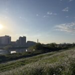 〜 思考の可動域 〜 関節の可動域。最近、年齢とともに狭くなってきたと実感します。 広げることを意識したストレッチをしないと、固くなってしまうもの。 怪我をしないためにも、続けることが大切。 可動域。意識しないと、広がらない。 関節に限らず、思考についても同様。 広げる意識を持たないと、つい近視眼的になりがち。 ちょっとした身体的な変化から、思考とのつながりを感じました。 思考の可動域。広げる意識を大切に、最適解を考えてまいります。 #行政書士 #大田区 #企業法務経験 #安心への伴走者 #課題解決サポート #契約書の作成チェック #行政への申請手続支援 #コラム #思考の可動域