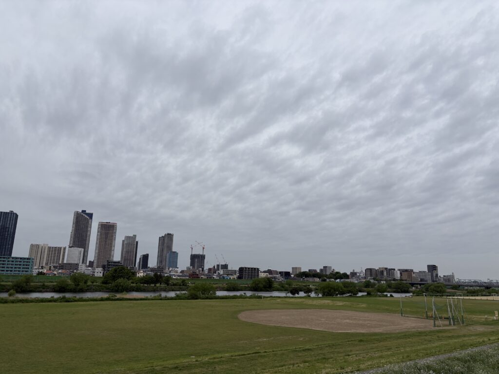 〜 仮説と検証 〜 パソコンやスマートフォンの周辺機器との接続設定。 マニュアル通りに作業を進めようとしても、実際の手順や表示された画面が、マニュアルと異なる。 こんな事態をよく経験します。 システムが更新されていたり、使用する端末がマニュアルと異なっていることなどが原因と思いますが、作業が思うように進まず、ストレスを感じる時間。 諦めず、まずはリサーチしてみる。 明確な答えが見つからなければ、マニュアル作成者の意図を汲み取り、仮説を立て、試してみる。 解決できるケースは多いと感じます。 仮説と検証。色々な課題解決の場面で大切な基本動作。 改めて意識して、お客様の課題解決をサポートしてまいります。 #行政書士 #大田区 #企業法務経験 #安心への伴走者 #課題解決サポート #契約書の作成チェック #行政への申請手続支援 #コラム #仮説と検証