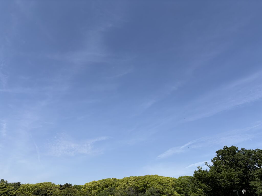 〜 日替わり 〜 定食やランチメニュー。「日替わり」という言葉が付くと、なぜか惹かれてしまいます。 頻繁に通っていると、偏りなくバランスのいい食事を摂ることができるメリットも。 ちょっとしたお得感を感じます。 お天気。この季節、「日替わり」という言葉をよく耳にします。 東京では昨日の晴天から一変、今朝は本降りの雨と強い風。 晴れの日と雨の日が交互に続くことが多く、不安定な状況を連想させる言葉でもあると感じます。 同じ言葉でも、使い方や場面によって連想するイメージが大きく異なる。 ふとした日常の気づきから、改めて意識しました。 特定の見方にこだわらず、物事を俯瞰的に見る。 視野を広げて最適解を考える意識を大切に、お役に立てるサポートを心がけてまいります。 #行政書士 #大田区 #企業法務経験 #安心への伴走者 #課題解決サポート #契約書の作成チェック #行政への申請手続支援 #コラム #日替わり