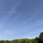 〜 日替わり 〜 定食やランチメニュー。「日替わり」という言葉が付くと、なぜか惹かれてしまいます。 頻繁に通っていると、偏りなくバランスのいい食事を摂ることができるメリットも。 ちょっとしたお得感を感じます。 お天気。この季節、「日替わり」という言葉をよく耳にします。 東京では昨日の晴天から一変、今朝は本降りの雨と強い風。 晴れの日と雨の日が交互に続くことが多く、不安定な状況を連想させる言葉でもあると感じます。 同じ言葉でも、使い方や場面によって連想するイメージが大きく異なる。 ふとした日常の気づきから、改めて意識しました。 特定の見方にこだわらず、物事を俯瞰的に見る。 視野を広げて最適解を考える意識を大切に、お役に立てるサポートを心がけてまいります。 #行政書士 #大田区 #企業法務経験 #安心への伴走者 #課題解決サポート #契約書の作成チェック #行政への申請手続支援 #コラム #日替わり