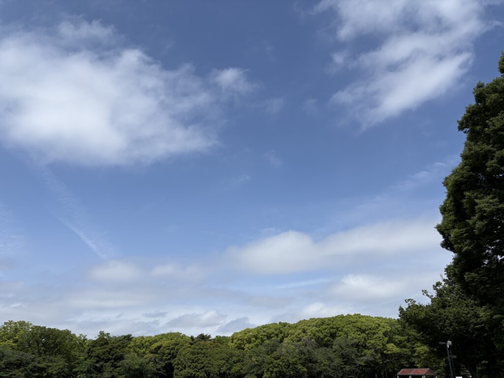 〜 日和 〜 お出かけ日和、お散歩日和。 5月は、天気に誘われて活動したくなる頃。 昨日の日曜日、代々木公園をランニングしました。 ランニングする人、お散歩する人、シートを広げてピクニックをする人。 たくさんの人が、休日のひとときを楽しんでいました。 そんな5月も残り1週間。 予定通り進んでいること、進んでいないこと。 新年度が始まってもうすぐ2か月、振り返りを行うちょうどいい時期。 契約書の作成・チェック、行政への申請手続の支援など、お困りごとやお悩みの解決・改善に向けたサポートを実践いたします。 どうぞお気軽にご相談ください。 #行政書士 #大田区 #企業法務経験 #安心への伴走者 #課題解決サポート #契約書の作成チェック #行政への申請手続支援 #コラム #日和