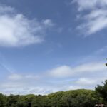 〜 日和 〜 お出かけ日和、お散歩日和。 5月は、天気に誘われて活動したくなる頃。 昨日の日曜日、代々木公園をランニングしました。 ランニングする人、お散歩する人、シートを広げてピクニックをする人。 たくさんの人が、休日のひとときを楽しんでいました。 そんな5月も残り1週間。 予定通り進んでいること、進んでいないこと。 新年度が始まってもうすぐ2か月、振り返りを行うちょうどいい時期。 契約書の作成・チェック、行政への申請手続の支援など、お困りごとやお悩みの解決・改善に向けたサポートを実践いたします。 どうぞお気軽にご相談ください。 #行政書士 #大田区 #企業法務経験 #安心への伴走者 #課題解決サポート #契約書の作成チェック #行政への申請手続支援 #コラム #日和