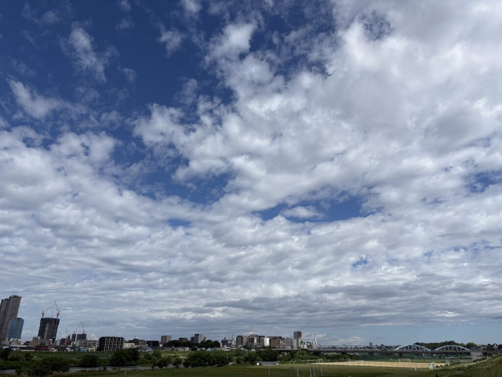 〜 ちょうどいいバランス 〜 冬、カラカラな空気、加湿する。 夏、ジメジメした空気、除湿する。 湿度。 快適に過ごすため、必要なもの。 でも、少な過ぎても、多過ぎてもいけない。 なくてはならないもの。 偏り過ぎず、ちょうどいい状態が肝要。 昨日、蒸し暑さを感じながら、そんなことを考えていました。 ちょうどいいバランスを大切に、丁寧なサポートを心がけてまいります。 #行政書士 #大田区 #企業法務経験 #安心への伴走者 #課題解決サポート #契約書の作成チェック #行政への申請手続支援 #コラム #ちょうどいいバランス