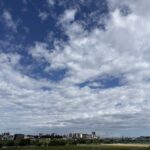 〜 ちょうどいいバランス 〜 冬、カラカラな空気、加湿する。 夏、ジメジメした空気、除湿する。 湿度。 快適に過ごすため、必要なもの。 でも、少な過ぎても、多過ぎてもいけない。 なくてはならないもの。 偏り過ぎず、ちょうどいい状態が肝要。 昨日、蒸し暑さを感じながら、そんなことを考えていました。 ちょうどいいバランスを大切に、丁寧なサポートを心がけてまいります。 #行政書士 #大田区 #企業法務経験 #安心への伴走者 #課題解決サポート #契約書の作成チェック #行政への申請手続支援 #コラム #ちょうどいいバランス