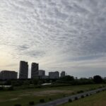 〜 重い、軽い 〜 最近、パソコンの動きが重くなった。 スマートフォンを買い替えたら、動きが軽くて快適。 重い、軽い。 物理的な重量や精神的な負担を表すときはもちろん、パソコンやスマートフォンの動きを表す用語として使うことが多いと感じます。 コンピュータやシステムに関わる負荷。 経済や社会に大きな影響を与えるものであると、改めて思いました。 負荷。かけるべきとき、緩めるとき。 適切な判断を心がけ、サービスレベルの向上に努めてまいります。 #行政書士 #大田区 #企業法務経験 #安心への伴走者 #課題解決サポート #契約書の作成チェック #行政への申請手続支援 #コラム #重い軽い