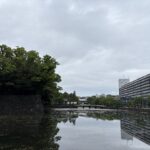 〜 想定する 〜 日曜日の朝、皇居の周りをランニングしました。 雨が降り出す前ということもあり、多くのランナーや観光客で賑わっていました。 これからしばらく雨の季節。天候にスケジュールが左右されたり、交通機関の乱れが生じることも想定されます。 避けられない事象。それを踏まえて考える。 できるだけ「想定の範囲内」にすることが大切な気がします。 変化を想定して考え、行動する。 改めて意識し、臨機応変な対応を心がけてまいります。 #行政書士 #大田区 #企業法務経験 #安心への伴走者 #課題解決サポート #契約書の作成チェック #行政への申請手続支援 #コラム #想定する