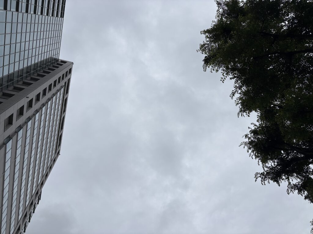 〜 合間、すき間 〜 貴重な晴れ間、お洗濯のチャンス。 梅雨の時期、天気予報でよく耳にします。 限られた時間を有効に活用する工夫の一つだと、改めて思います。 合間やすき間。1日の中で意外と多い気がします。 仕事や勉強、限られた時間。 うまく活用することが肝要だと感じます。 効率的な時間の使い方を意識して、サービスレベルの向上を心がけてまいります。 #行政書士 #大田区 #企業法務経験 #安心への伴走者 #課題解決サポート #契約書の作成チェック #行政への申請手続支援 #コラム #合間すき間