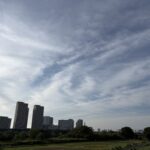 〜 習慣にする 〜 大事だと思ったら、メモを取る。 小さなメモ帳を持ち歩くようにしています。 とはいえ、面倒で後回しにして、メモを残そうと思ったこと自体を忘れてしまうことも。後悔することはたくさんあります。 都度反省して、「まずはメモ帳を開く」ことを意識するようにしています。 完璧に物事を進めることは難しい。 避けるべきは、立ち止まってしまったり、やめてしまうこと。 走りながら考え、都度見直していく。 「メモを取る」という一つの行為から、そんな心がけが大切だと感じました。 臨機応変に対応することを、習慣にする。 柔軟な姿勢で考えることを大切に、マッチしたサービスを提供してまいります。 #行政書士 #大田区 #企業法務経験 #安心への伴走者 #課題解決サポート #契約書の作成チェック #行政への申請手続支援 #コラム #習慣にする