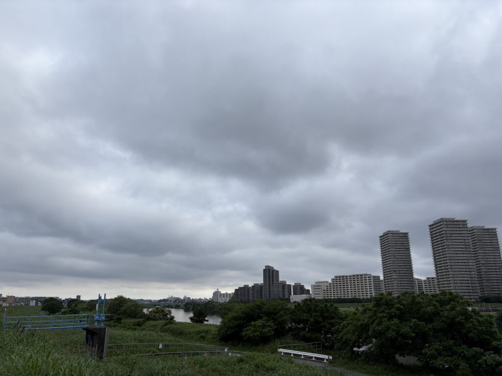 〜 梅雨の学び 〜 しばらくの間、引き出しの中に眠っていたカバン。 取り出してみると、カビが生えていました。 開ける機会が少ない引き出しの中、普段の掃除では行き届かない部屋の隅や家具の裏側。 カビの存在に思わずため息が出る。 湿気の多い梅雨の時期にはよくあることだと思います。 普段目の届きづらい場所も、定期的に確認する。 その習慣の大切さを改めて感じました。 日常の出来事からの学びを大切に、サービスレベルの向上に努めてまいります。 #行政書士 #大田区 #企業法務経験 #安心への伴走者 #課題解決サポート #契約書の作成チェック #行政への申請手続支援 #コラム #梅雨の学び