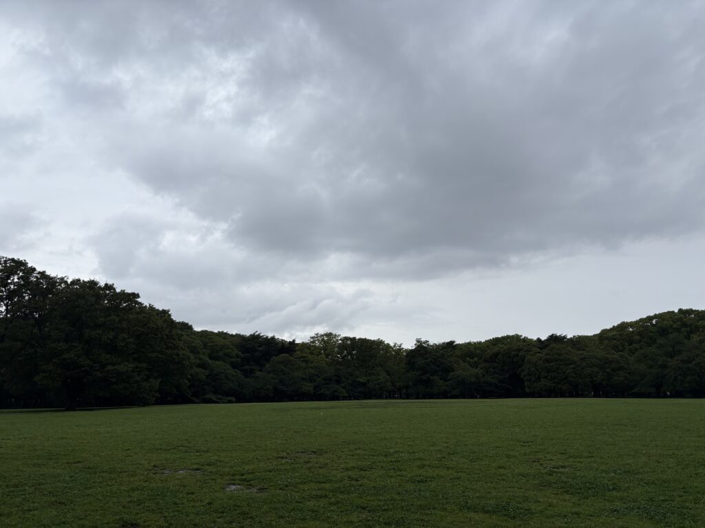 〜 やらない言い訳、やることのメリット 〜 昨日の日曜日、代々木公園をランニングしました。 朝、ちょうど家を出る頃は本降りの雨。 「今日はやめようか」と思いつつも、とりあえず出かけることに。 走り始める頃にはほぼ雨も上がり、気温もそれほど高くなかったせいか、心地よく走ることができました。 「やらない言い訳」ではなく、「やることのメリット」を見つける。 無理は禁物ですが、前向きな発想を心がけてまいります。 #行政書士 #大田区 #企業法務経験 #安心への伴走者 #課題解決サポート #契約書の作成チェック #行政への申請手続支援 #コラム #やらない言い訳やることのメリット