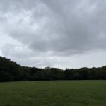 〜 やらない言い訳、やることのメリット 〜 昨日の日曜日、代々木公園をランニングしました。 朝、ちょうど家を出る頃は本降りの雨。 「今日はやめようか」と思いつつも、とりあえず出かけることに。 走り始める頃にはほぼ雨も上がり、気温もそれほど高くなかったせいか、心地よく走ることができました。 「やらない言い訳」ではなく、「やることのメリット」を見つける。 無理は禁物ですが、前向きな発想を心がけてまいります。 #行政書士 #大田区 #企業法務経験 #安心への伴走者 #課題解決サポート #契約書の作成チェック #行政への申請手続支援 #コラム #やらない言い訳やることのメリット