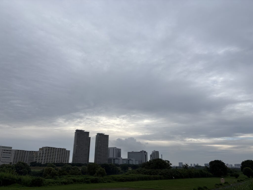〜 雲の切れ間の薄日から 〜 すっきりしない天気が続いています。 雲の切れ間から薄日が差すと、ほっとした気分になります。 雲の先には、青空がある。 安心感を与えてくれるもの。 今朝、そんなことを感じながらランニングしていました。 臨機応変な身軽さと、冷静な判断。 引き続き、安心感あるサービスを心がけてまいります。 #行政書士 #大田区 #企業法務経験 #安心への伴走者 #課題解決サポート #契約書の作成チェック #行政への申請手続支援 #コラム #雲の切れ間の薄日から