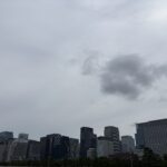 〜 蝉の声 〜 日曜日の朝、皇居の周りをランニングしました。 今年初めて蝉の鳴き声を耳にしました。 最近、東京も一気に暑くなりましたが、着実に季節は夏に進んでいることを、耳からも感じました。 暑さ対策に限らず、暮らしの中で必要な夏の対策について、改めて意識しました。 その時々で何が課題で、必要な対策は何か。 アンテナの感度を上げ、検討を深め、マッチしたサポートを心がけてまいります。 #行政書士 #大田区 #企業法務経験 #安心への伴走者 #課題解決サポート #契約書の作成チェック #行政への申請手続支援 #コラム #蝉の声