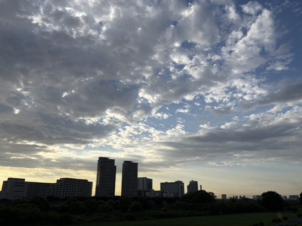 〜 とんぼの群れ 〜 今朝、多摩川の土手でとんぼの群れを見かけました。 まだ朝の早い時間、なんだか清々しさを感じました。 蝉時雨に、とんぼの群れ。 お盆に向かい、季節は進んでいるんだと感じました。 近視眼的に集中することも大切ですが、視野を広げ、先を見て計画する。 季節の移り変わりを眺めながら、ビジネスの基本をふと意識しました。 仕事や暮らしのお困りごと。先を見据えたサポートに努めてまいります。 #行政書士 #大田区 #企業法務経験 #安心への伴走者 #課題解決サポート #契約書の作成チェック #行政への申請手続支援 #コラム #とんぼの群れ