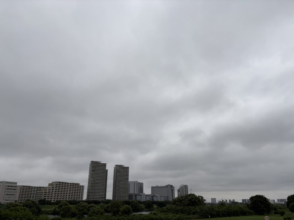 〜 コンディショニングの大切さ 〜 8月になりました。 ところが、東京は涼しく過ごしやすい朝。 寝苦しさも一旦収まり、何かと忙しい朝のルーティーンも、今朝は少しはかどります。 暑い日が続くと、つい無理をしてミスをしたり、作業効率が悪くなりがち。 環境が整うと、体調が整い、仕事や作業がはかどる。 パフォーマンスとコンディショニングには、切っても切れない関係があるんだと、改めて感じます。 コンディショニングを意識して、業務品質の向上に努めてまいります。 #行政書士 #大田区 #企業法務経験 #安心への伴走者 #課題解決サポート #契約書の作成チェック #行政への申請手続支援 #コラム #コンディショニングの大切さ