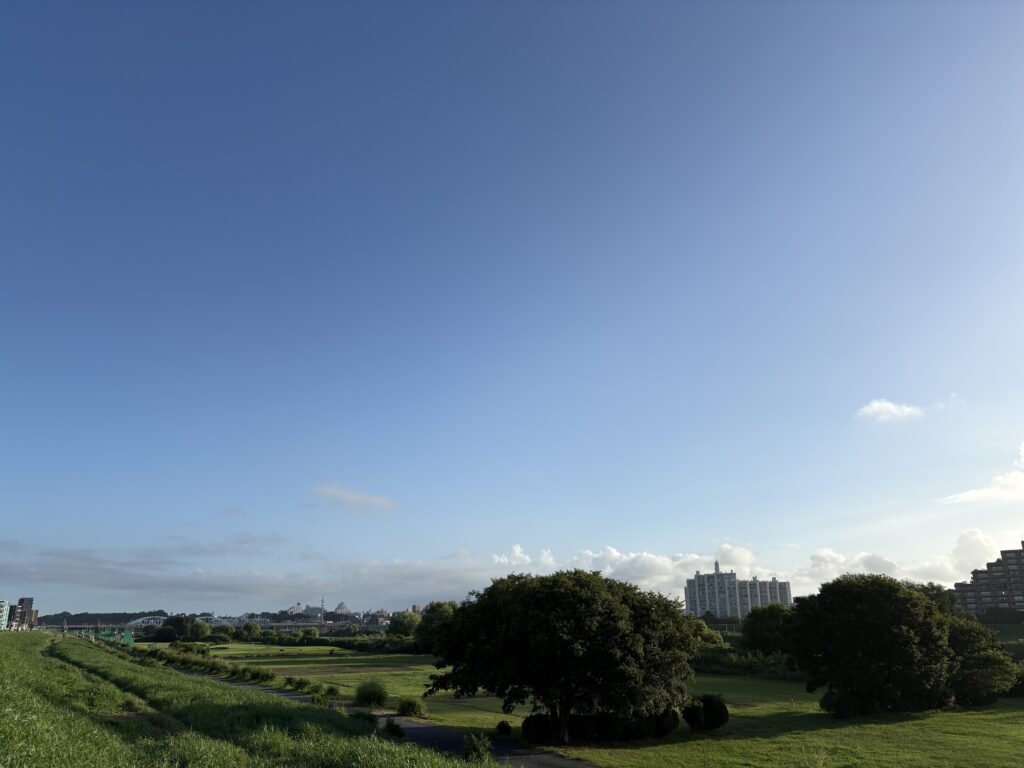 〜 立秋 〜 立秋。 東京は暑い朝となりましたが、暦の上では秋。 時は着実に前に進んでいると感じます。 猛暑で体力的につらい日が続いたり、日々忙しさに追われていると、目の前のことで手一杯になり、先を見た行動ができなくなりがち。 将来を予見して対策する。 ゴールから逆算して計画する。 慌てず、漏れなく、先を見た対策。引き続き心がけてまいります。 #行政書士 #大田区 #企業法務経験 #安心への伴走者 #課題解決サポート #契約書の作成チェック #行政への申請手続支援 #コラム #立秋