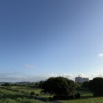 〜 立秋 〜 立秋。 東京は暑い朝となりましたが、暦の上では秋。 時は着実に前に進んでいると感じます。 猛暑で体力的につらい日が続いたり、日々忙しさに追われていると、目の前のことで手一杯になり、先を見た行動ができなくなりがち。 将来を予見して対策する。 ゴールから逆算して計画する。 慌てず、漏れなく、先を見た対策。引き続き心がけてまいります。 #行政書士 #大田区 #企業法務経験 #安心への伴走者 #課題解決サポート #契約書の作成チェック #行政への申請手続支援 #コラム #立秋