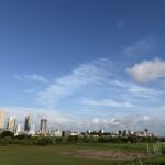 〜 先を見据えて 〜 8月20日。 夏休みの宿題や自由研究、新学期のこと。子供の頃、急に重くのしかかってきたことを思い出します。 後回しにしてきたこと、手をつけないといけなくなった現実。 我に返り、先を見据えた対応の大切さを実感していました。 定期的な現状確認とゴールから逆算したスケジューリング。 改めて意識して、状況にマッチしたサポートを提供してまいります。 #行政書士 #大田区 #企業法務経験 #安心への伴走者 #課題解決サポート #契約書の作成チェック #行政への申請手続支援 #コラム #先を見据えて