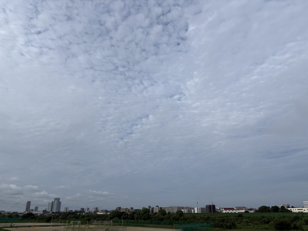 〜 うろこ雲 〜 まだまだ暑い日が続いていますが、今朝、空にはうろこ雲が広がっていました。 気が早いかもしれませんが、少しずつ季節は先に進んでいると感じました。 8月も後半。当初の計画が未着手だったり、見直しが必要だったり。考えるちょうどいい時期かと思います。 行政書士は、行政への申請手続の支援、契約書の作成・チェックなどのサービスの提供を通じて、課題の解決・改善に向けたサポートを実践いたします。 仕事や暮らしのお困りごと。どうぞお気軽にご相談ください。 #行政書士 #大田区 #企業法務経験 #安心への伴走者 #課題解決サポート #契約書の作成チェック #行政への申請手続支援 #コラム #うろこ雲