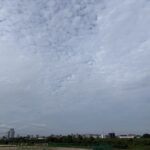 〜 うろこ雲 〜 まだまだ暑い日が続いていますが、今朝、空にはうろこ雲が広がっていました。 気が早いかもしれませんが、少しずつ季節は先に進んでいると感じました。 8月も後半。当初の計画が未着手だったり、見直しが必要だったり。考えるちょうどいい時期かと思います。 行政書士は、行政への申請手続の支援、契約書の作成・チェックなどのサービスの提供を通じて、課題の解決・改善に向けたサポートを実践いたします。 仕事や暮らしのお困りごと。どうぞお気軽にご相談ください。 #行政書士 #大田区 #企業法務経験 #安心への伴走者 #課題解決サポート #契約書の作成チェック #行政への申請手続支援 #コラム #うろこ雲