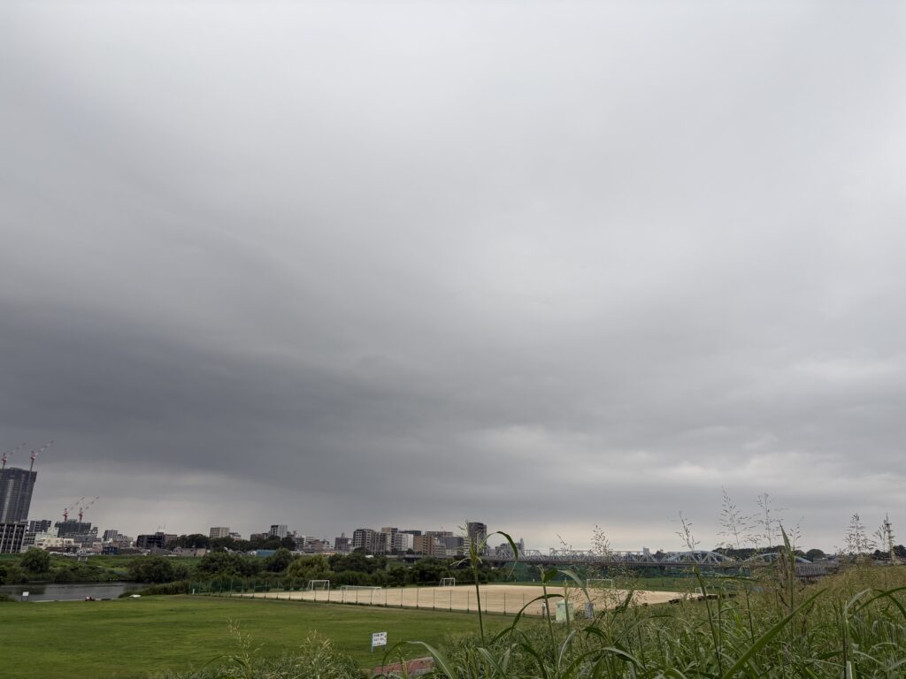 〜 過度には要注意 〜 外は、強い日差しと猛暑。 室内は、効き過ぎたエアコンで肌寒い。 ここ最近、そんな生活をしていたら、少し体調を崩してしまいました。 過度。 どちらかに振り過ぎると、ついていけなくなる。 自分の体調の変化から、改めてそう感じました。 仕事や暮らし。 適度と順応を意識して、状況に適したサポートを引き続き心がけてまいります。 #行政書士 #認定経営革新等支援機関 #大田区 #企業法務経験 #安心への伴走者 #課題解決サポート #契約書の作成チェック #行政への申請手続支援 #コラム #過度には要注意