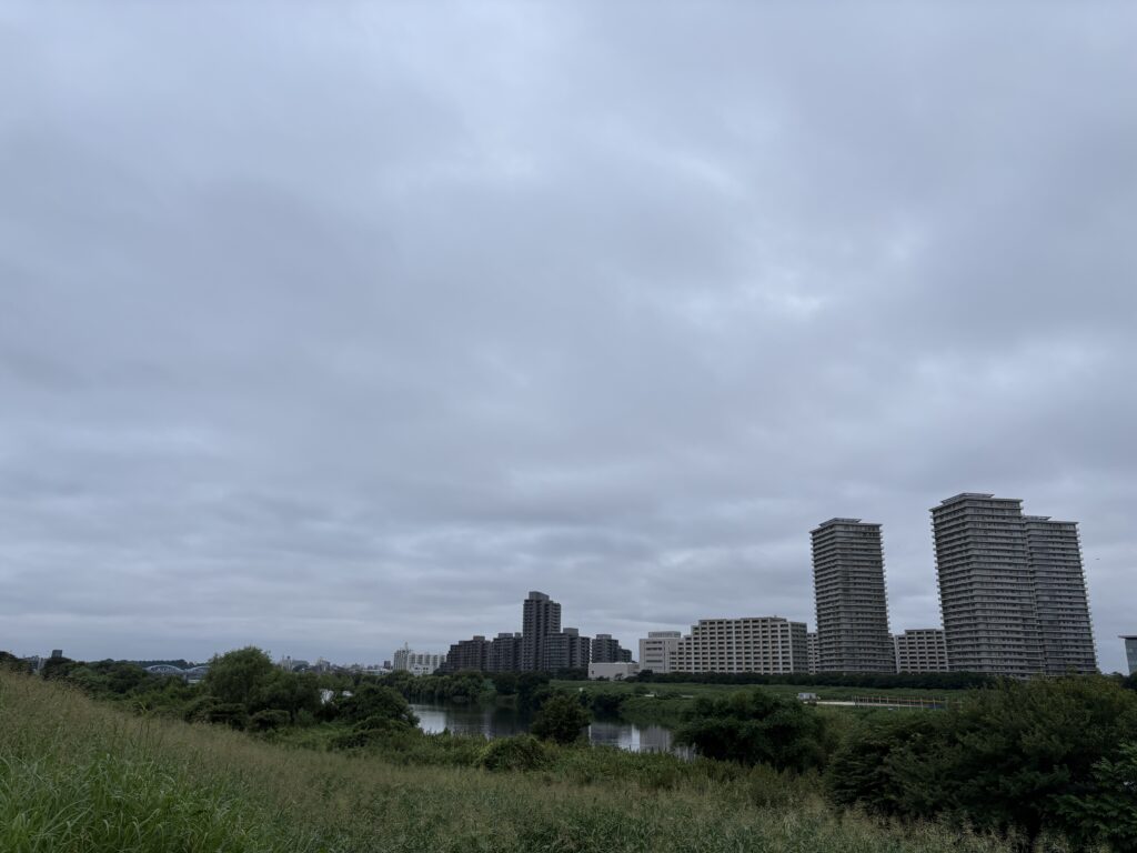 〜 9月1日 〜 多くの学校で今日から新学期。 夏休みが終わってしまった寂しさと諦め、少しの気だるさと久々に友だちと会えるうれしさ。 8月31日と同じく、子どもの頃はなんともいえない複雑な気持ちで朝を迎えたことを思い出します。 新たに始めること、積み残したことに、まずは着手する。 気持ちを新たに動き始めるのに、ちょうどいい日。 大人になった今、そのように感じます。 とはいえ、まだまだ残暑が続くと思いますので、少しずつ、無理はせず、くれぐれもご自愛ください。 #行政書士 #認定経営革新等支援機関 #大田区 #企業法務経験 #安心への伴走者 #課題解決サポート #契約書の作成チェック #行政への申請手続支援 #コラム #9月1日