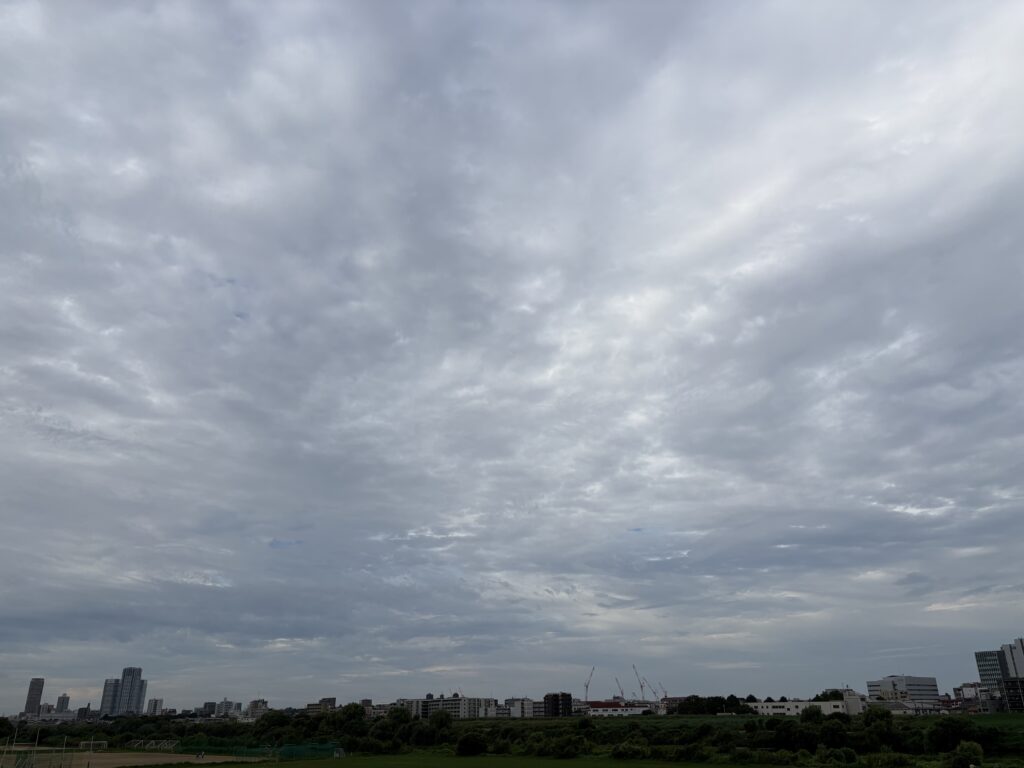 〜 先を見据える 〜 今朝、窓を開けると涼しい風が入ってきました。 日中は気温も上がり、蒸し暑くなりますが、少しずつ秋の気配を感じるようになりました。 秋から年末に向け、やるべきことを整理しておこうと思いました。 少し先を見据えておく。 普段からそうしておくことで、いざというとき焦らず落ち着いて行動できる。 ちょっとした季節の変化から、予め想定しておくことの大切さを感じました。 先を見据えた丁寧な対応。引き続き心がけてまいります。 #行政書士 #認定経営革新等支援機関 #大田区 #企業法務経験 #安心への伴走者 #課題解決サポート #契約書の作成チェック #行政への申請手続支援 #コラム #先を見据える