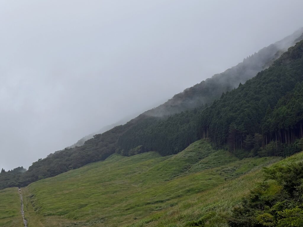 〜 9月の長雨から 〜 9月の長雨。わが家では除湿器が大活躍しています。 梅雨の終わり頃、雨の日の洗濯物の部屋干しと、夏の蒸し暑さへの対策として購入。 9月になって、こんなに重宝するとは。 「買ってよかった」第1位の商品です。 家電や電子機器など、便利な機器を上手に使う。 快適さや効率性を高めるために、大切なことだと実感します。 仕事や暮らしの困りごと。アウトソーシングで解決を図るのも一案です。 行政への申請手続の支援、契約書の作成・チェックなど、かかりつけ行政書士として引き続き課題解決をサポートいたします。 どうぞお気軽にご相談ください。 #行政書士 #認定経営革新等支援機関 #大田区 #企業法務経験 #安心への伴走者 #課題解決サポート #契約書の作成チェック #行政への申請手続支援 #コラム #9月の長雨から