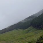 〜 9月の長雨から 〜 9月の長雨。わが家では除湿器が大活躍しています。 梅雨の終わり頃、雨の日の洗濯物の部屋干しと、夏の蒸し暑さへの対策として購入。 9月になって、こんなに重宝するとは。 「買ってよかった」第1位の商品です。 家電や電子機器など、便利な機器を上手に使う。 快適さや効率性を高めるために、大切なことだと実感します。 仕事や暮らしの困りごと。アウトソーシングで解決を図るのも一案です。 行政への申請手続の支援、契約書の作成・チェックなど、かかりつけ行政書士として引き続き課題解決をサポートいたします。 どうぞお気軽にご相談ください。 #行政書士 #認定経営革新等支援機関 #大田区 #企業法務経験 #安心への伴走者 #課題解決サポート #契約書の作成チェック #行政への申請手続支援 #コラム #9月の長雨から