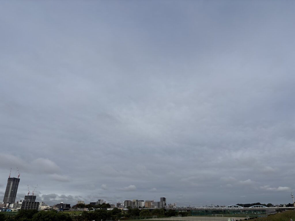 〜 肌寒さ 〜 昨日の夕方、腕を組み、背中を丸めて歩く自分にふと気づきました。 雨で濡れた影響もあって、ブルッとした肌寒さ。 「衣替え」ということばが頭をよぎりました。 10月も今週で終わり。そろそろ秋本番。 季節感を改めて意識しました。 先を見据えて、前広に備える。 安心感のあるサポートを心がけてまいります。 #行政書士 #認定経営革新等支援機関 #大田区 #企業法務経験 #安心への伴走者 #課題解決サポート #契約書の作成チェック #行政への申請手続支援 #コラム #肌寒さ
