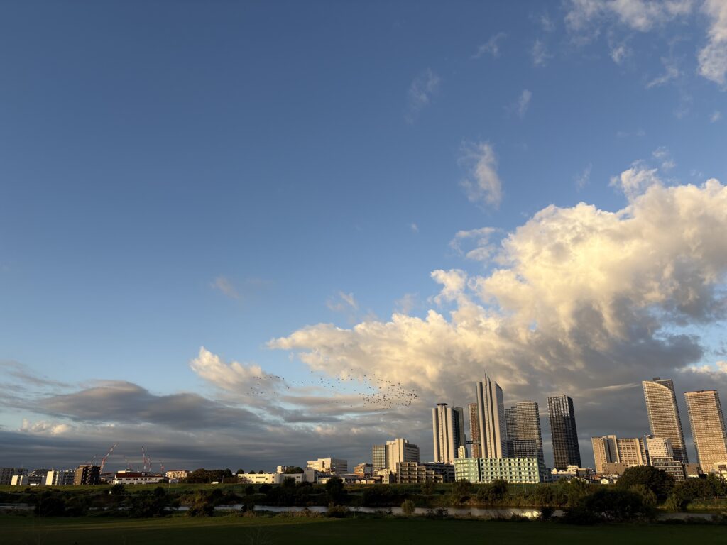 〜 冬支度 〜 昨日、東京では木枯らし1号が吹きました。 強くて、冷たい風。 季節がまた一歩進んだことを実感しました。 冬支度を始める時期。 わが家では、早速押入れから冬用の羽毛布団を出しました。 前広に情報を収集し、変化に順応する。 暮らしにおいても、仕事においても、大切なこと。 冬支度をしながら、そんなことを考えていました。 先を見据え、状況に応じたサポート。 引き続き、心がけてまいります。 #行政書士 #認定経営革新等支援機関 #大田区 #企業法務経験 #安心への伴走者 #課題解決サポート #契約書の作成チェック #行政への申請手続支援 #コラム #冬支度